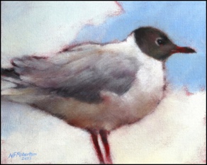 black head gull 25·20
£150